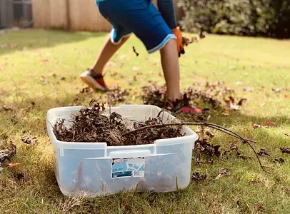 Levando as Crianças para Fora de Casa: Trabalho no Quintal Seguro e Divertido para Todas as Idades